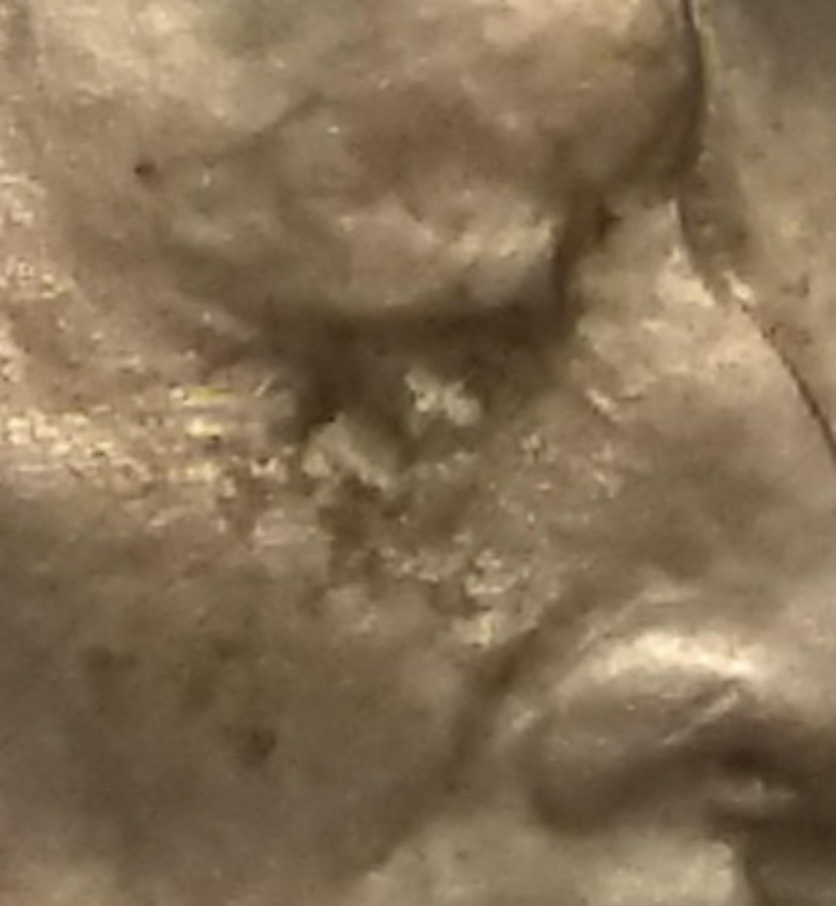 1913-5c-T2-Buffalo-Nickel-#3
